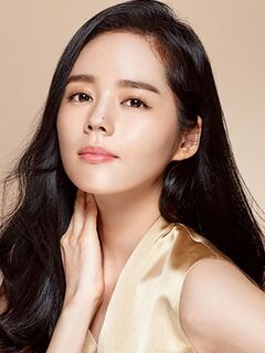 Han Ga-in